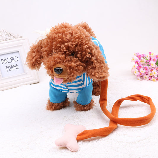 20 songs, walking, singing tidy, electronic toys