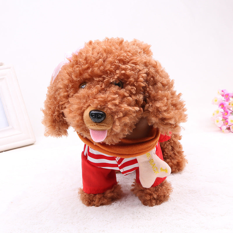 20 songs, walking, singing tidy, electronic toys