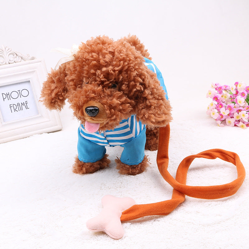 20 songs, walking, singing tidy, electronic toys