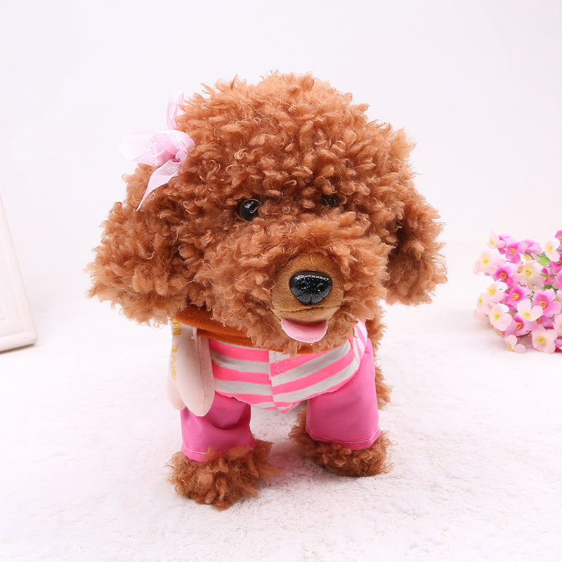 20 songs, walking, singing tidy, electronic toys